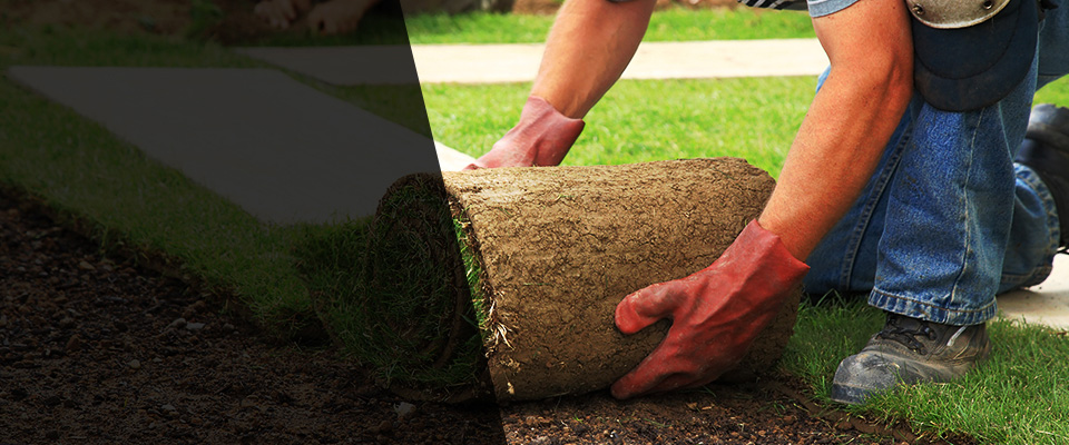 Lorain Landscapers